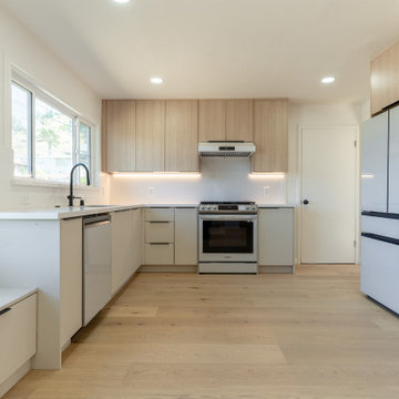 Full Home Remodel