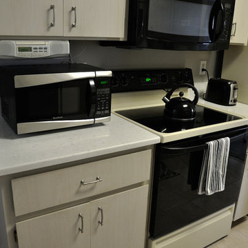 LG Viatera Cirrus Quartz Kitchen for The Mangiero Family