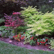 New Garden