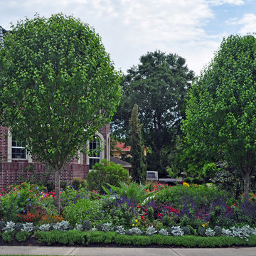 Cottage-style front yard in Braeswood Place