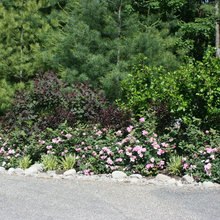 Ridge Yard