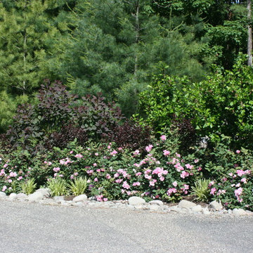 English and Cottage Gardens
