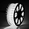 DELight 150' 2-Wire LED Rope Light Holiday Decor Indoor/Outdoor, Cool White