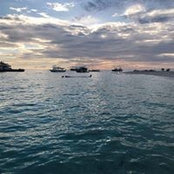 Mappa Mondo's photo
