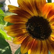 Lori Yundt's photo
