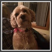 Lissa Beaudoin's photo