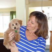 Diane Berthiaume's photo
