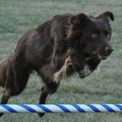 Sally Allen's photo
