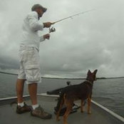 Danny Martin's photo