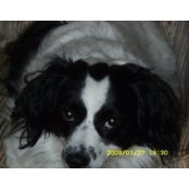 Kelly Carr's photo