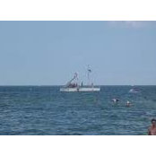 Alice Parker's photo