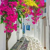 Noha Osama's photo