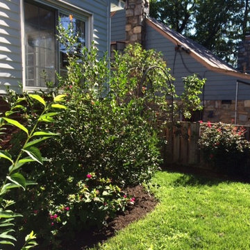 Skilled DIY Gardeners in Arlington!