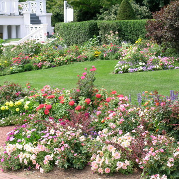 Rainbow Garden