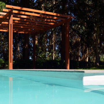 Piscina L en Casa de Campo