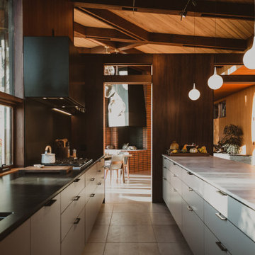 Healdsburg Hills Midcentury Modern