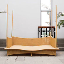 ARECA PALM TREE