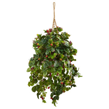 Raspberry Plant Hanging Basket