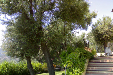 Ispirazione per un giardino mediterraneo