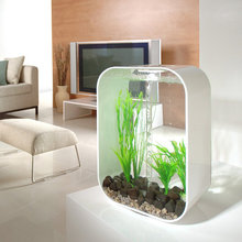 layla_alamdari's ideas