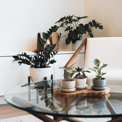 Wharf House - Home Decor