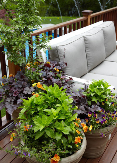 Фьюжн Сад by Westover Landscape Design