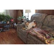 Nona Roberts's photo