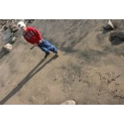 Lisa Wall's photo
