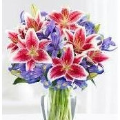 Christine Tuttle's photo