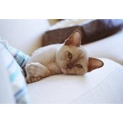 Robin Tucker's photo