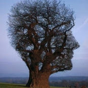 Foto von B Fiore