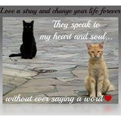 Cheryl Coreys foto