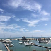 Akram Chammam's photo