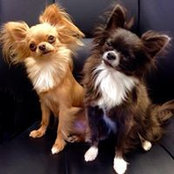Rhonda Furby's photo
