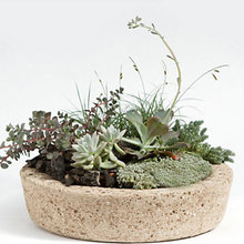 Planters
