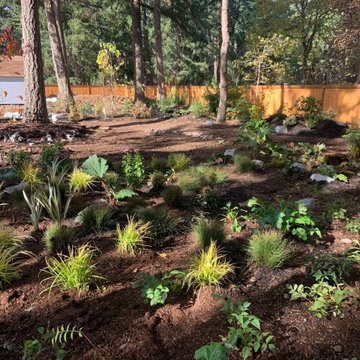 Garden Design/DIY/Coaching ... Phase One