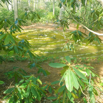 Moss Labyrinth  -- Cashiers