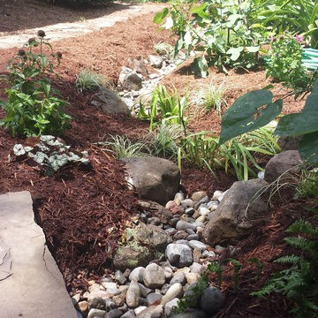 Pet-Char Stormwater Solution