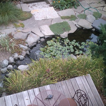 Ponds