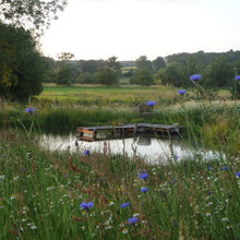 Pond