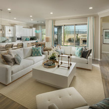 Living Room Ideas