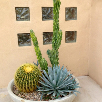 Southwestern Plants