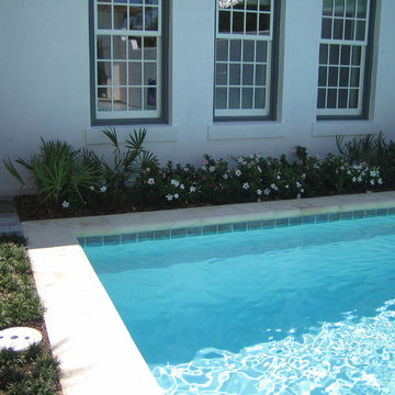 Peacock Pavers 2013