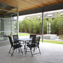 Sportcourt screening trees