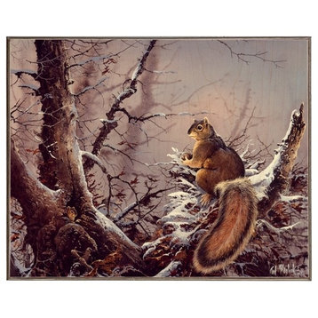 Red Squirell, Birch Wood Print