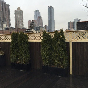 lattice privacy screen by New York Plantings Garden Designers and Landscape cont