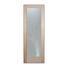 closet doors
