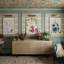 Living Room Ideas