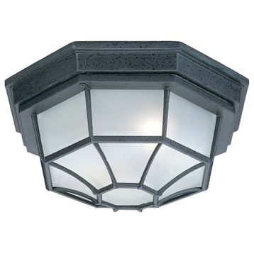 Capital Lighting 2 Lamp Outdoor Ceiling Fixture, Black