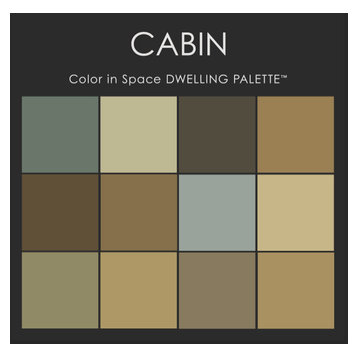 Color in Space Cabin Paint Color Palette™